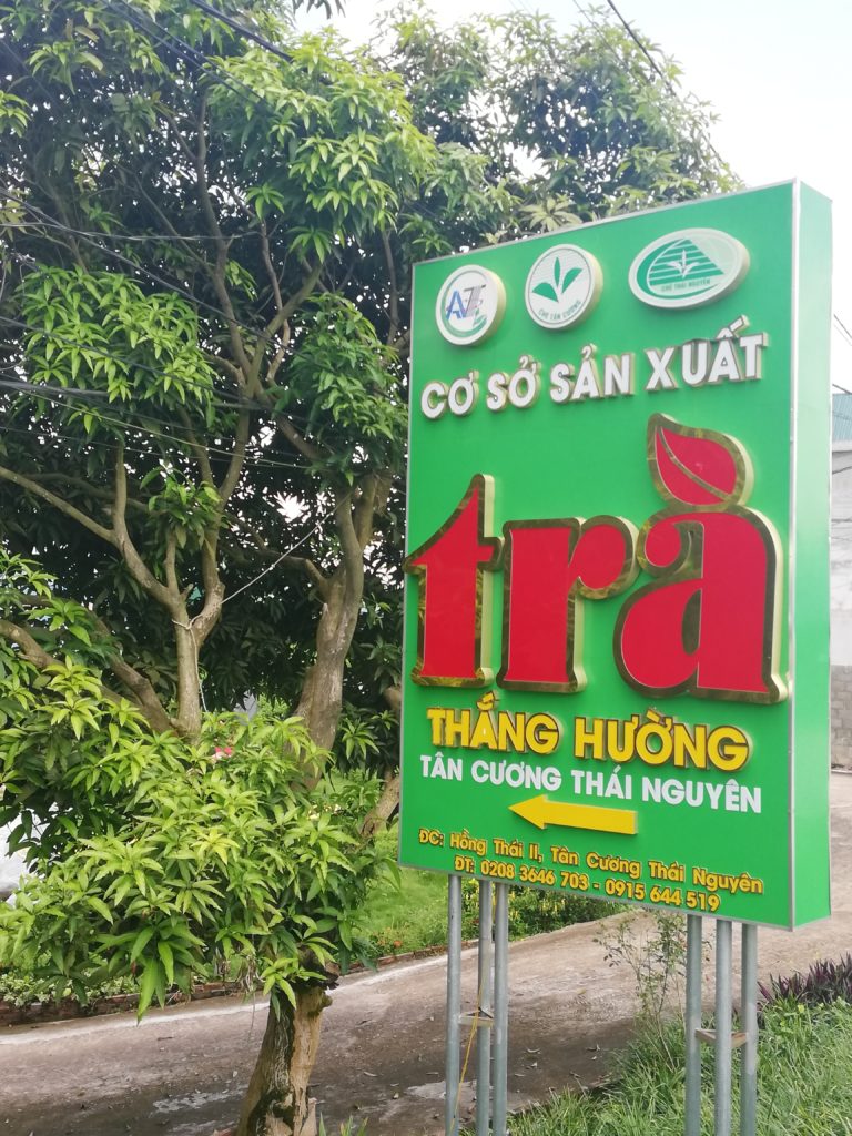 thé vietnamien thai nguyen tan cuong
