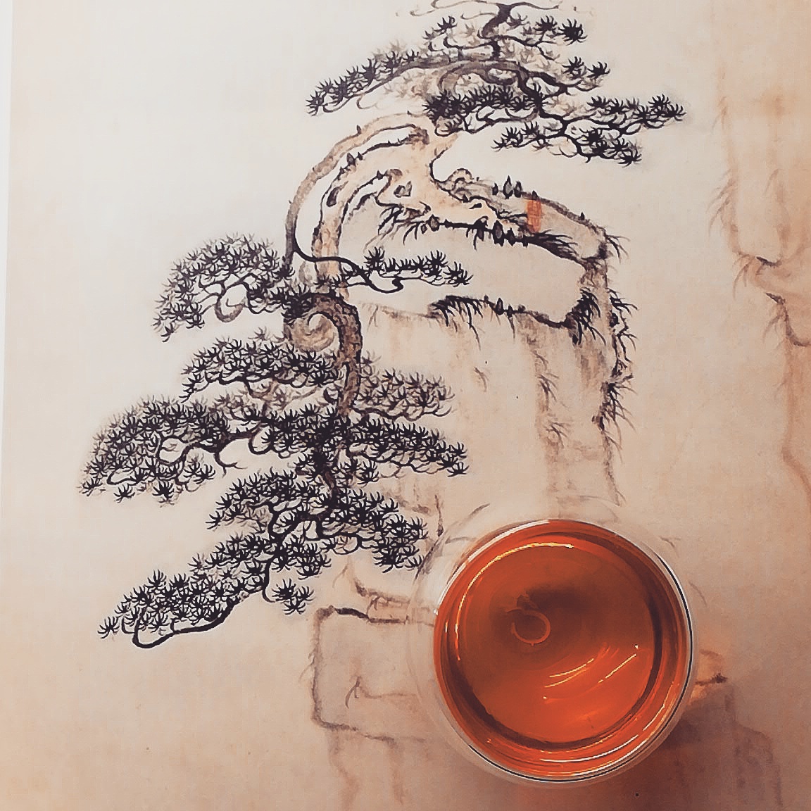 Beauté orientale et Muscatel : des thés rares et mordus